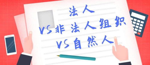 張槎食品證代辦服務詳解